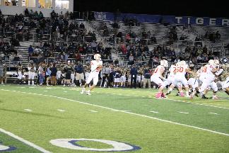 October 11 2019 IMG_2657686